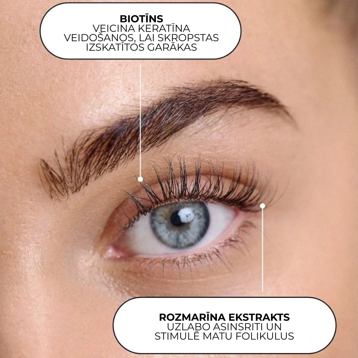 XLASH Evening routine kit - Komplekts