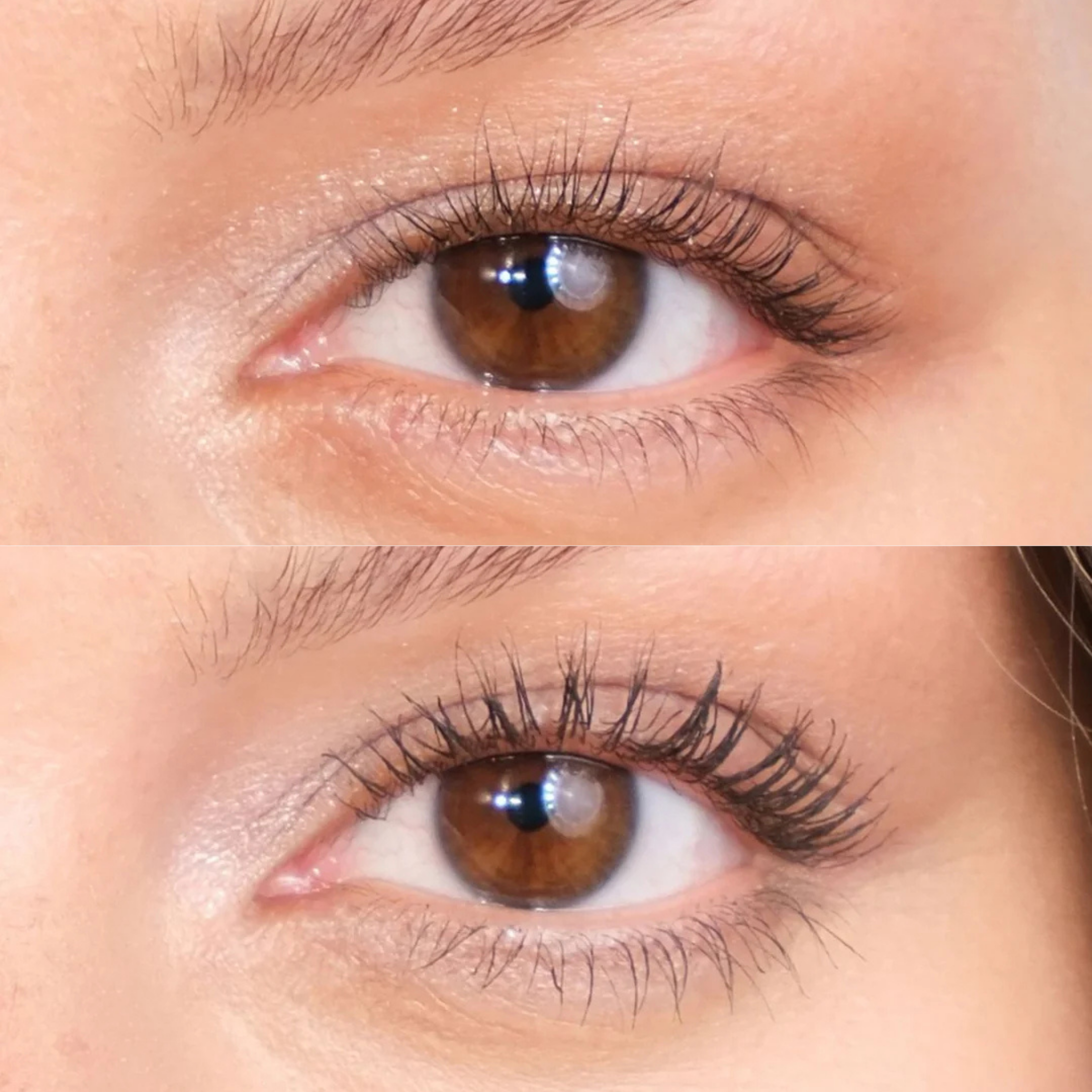 XLASH Drama Tinted Primer - tonējošais skropstu parimeris, 6,3ml