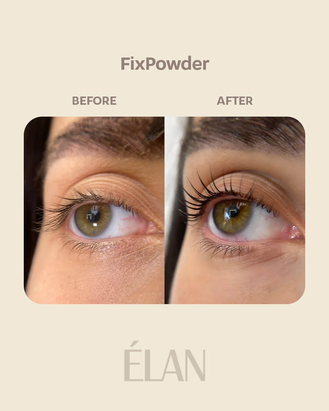 ELAN FixPowder – fixierendes Puder für das Wimpernlifting, 9 g